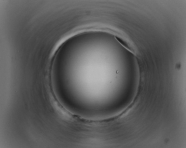 X0000094931530200712131525