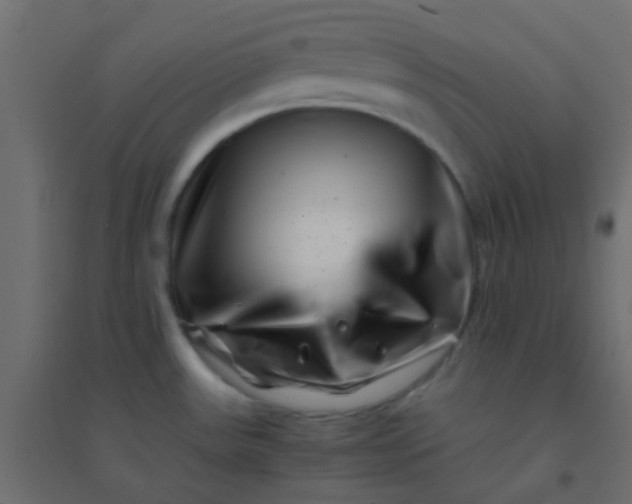 X0000094931531200712131525