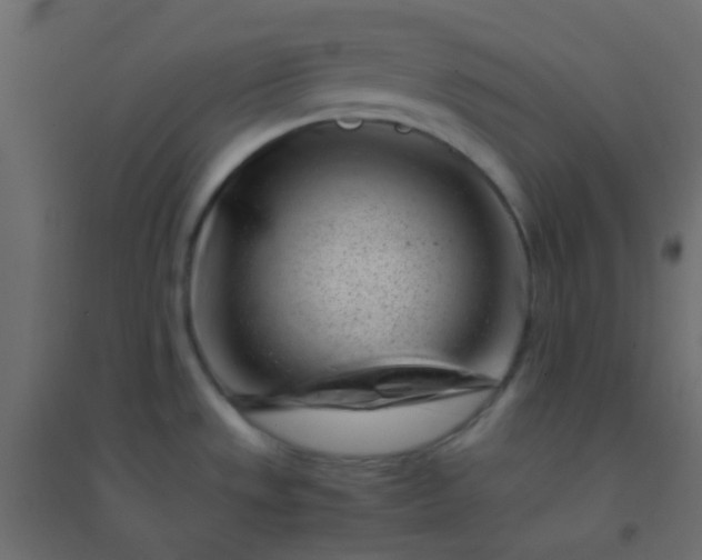 X0000094931533200712131525