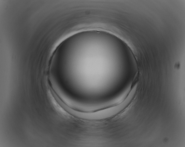 X0000094931534200712131525