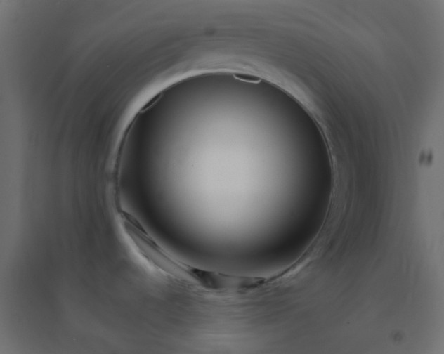 X0000094931536200712131526