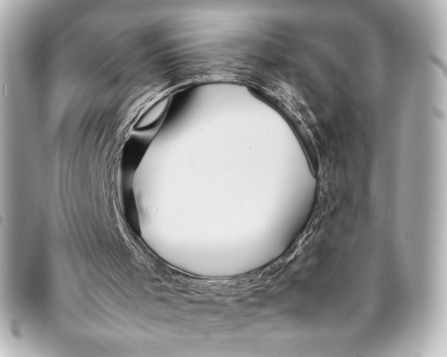X0000094930001200712201103