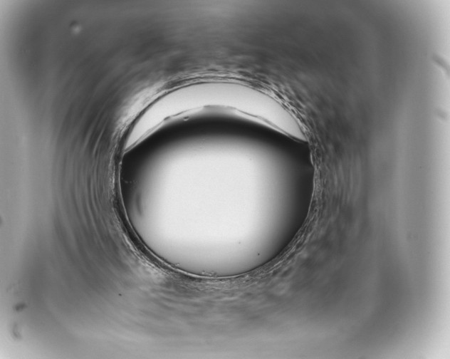 X0000094930005200712201103