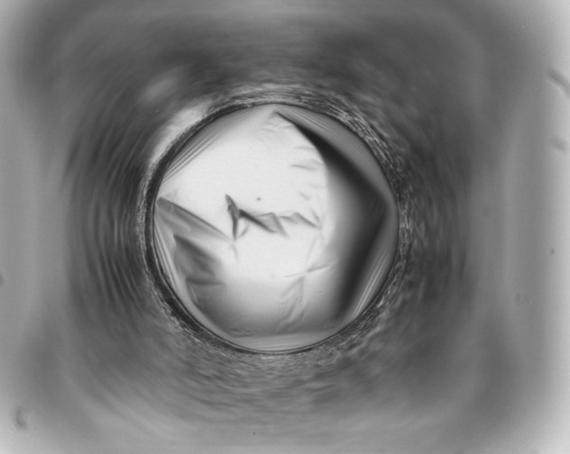 X0000094930006200712201103