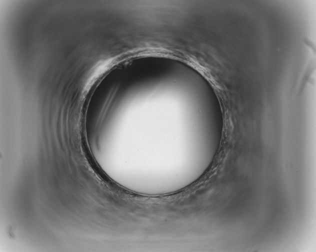 X0000094930007200712201103