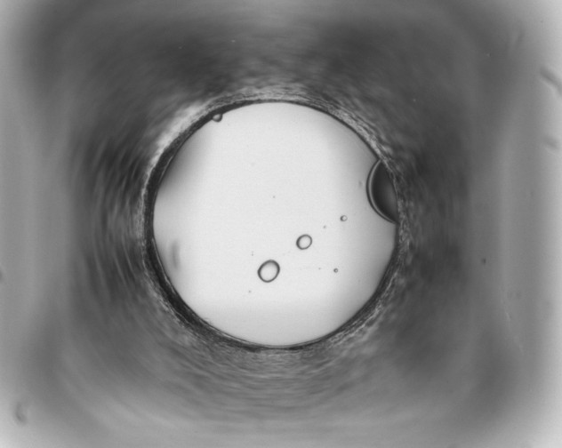 X0000094930008200712201103