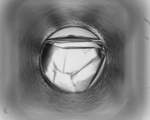 X0000094930010200712201103