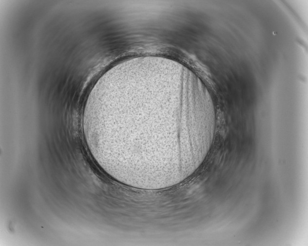 X0000094930012200712201103