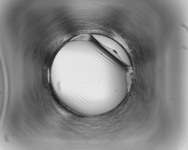 X0000094930013200712201103