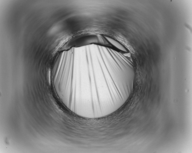 X0000094930014200712201103