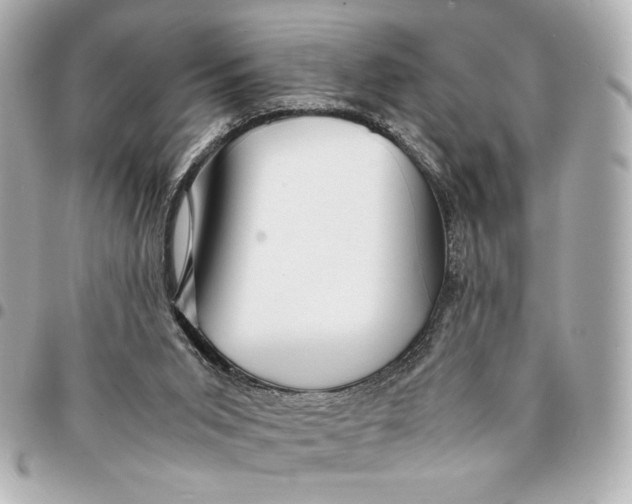 X0000094930015200712201103