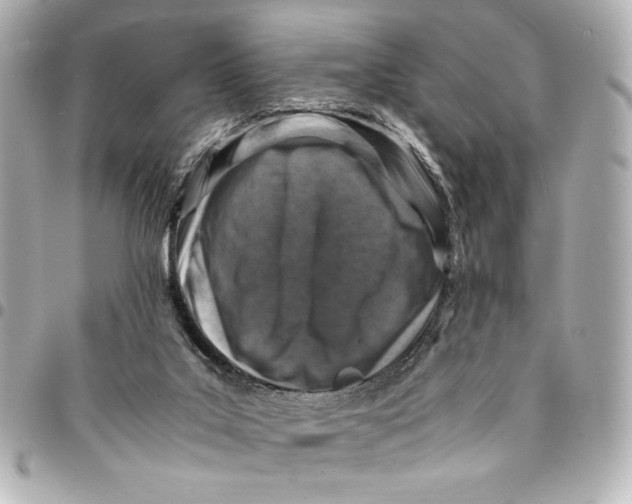 X0000094930019200712201103
