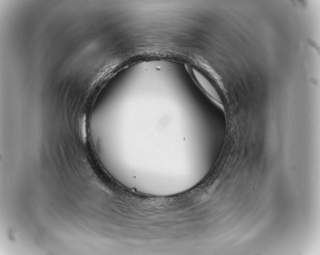 X0000094930020200712201103