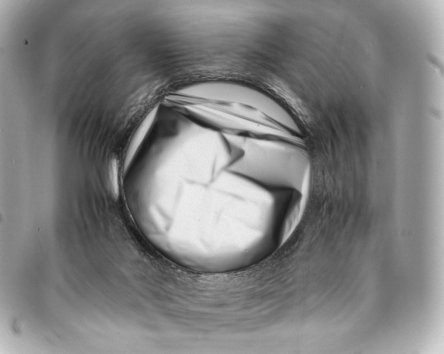 X0000094930022200712201103