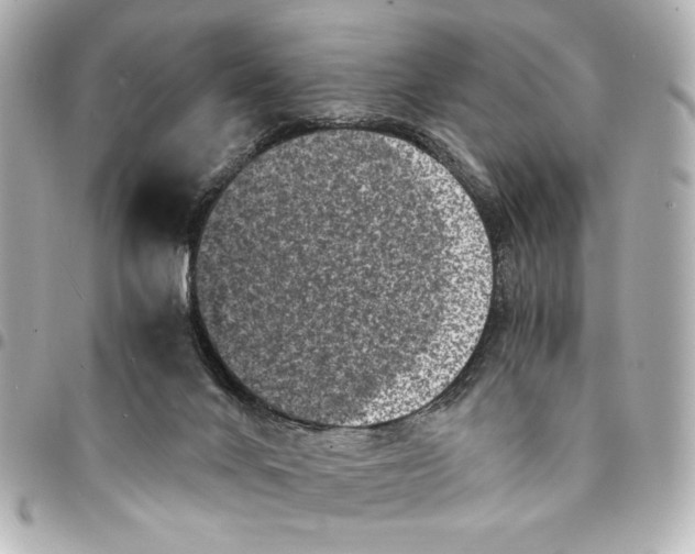 X0000094930024200712201103