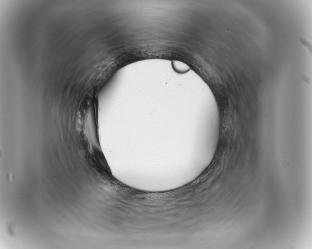 X0000094930025200712201103