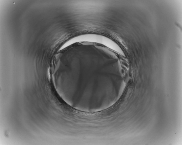 X0000094930027200712201103