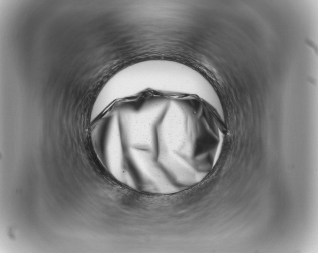 X0000094930029200712201102