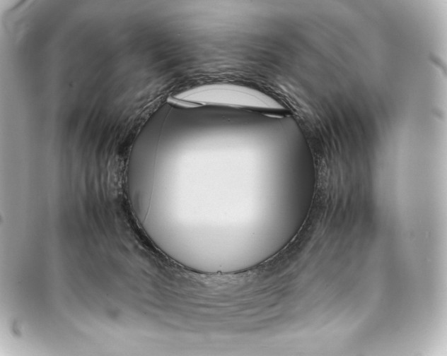 X0000094930030200712201102