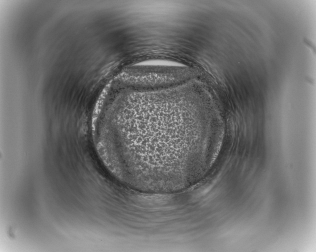 X0000094930032200712201102