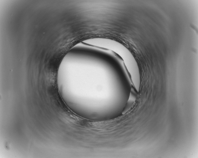 X0000094930033200712201102