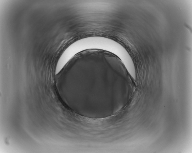 X0000094930035200712201102