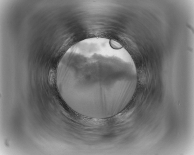 X0000094930036200712201102