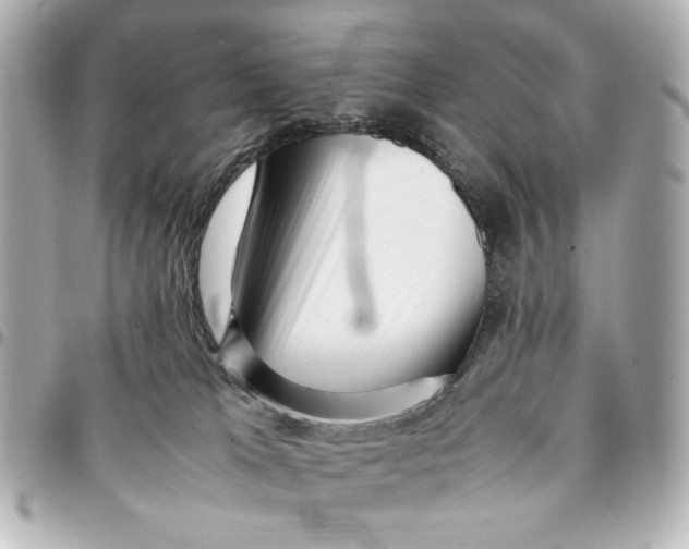 X0000094930037200712201102