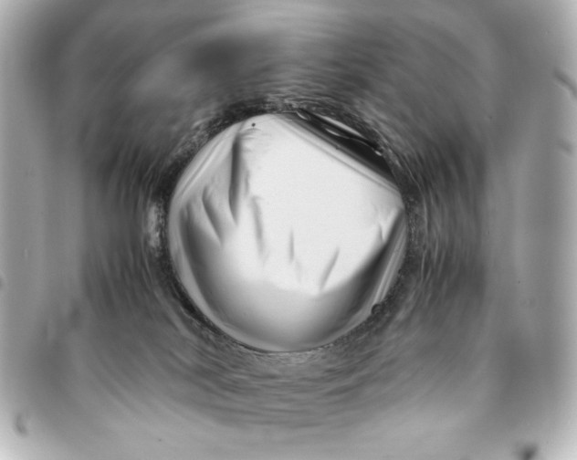 X0000094930038200712201102
