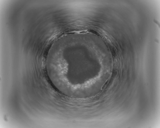 X0000094930043200712201102
