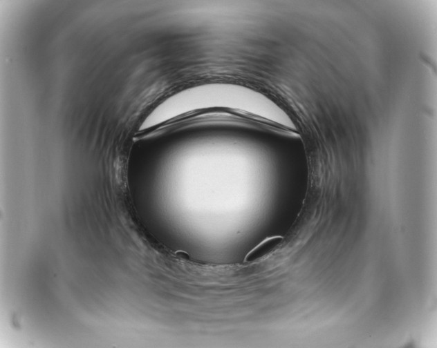 X0000094930044200712201102