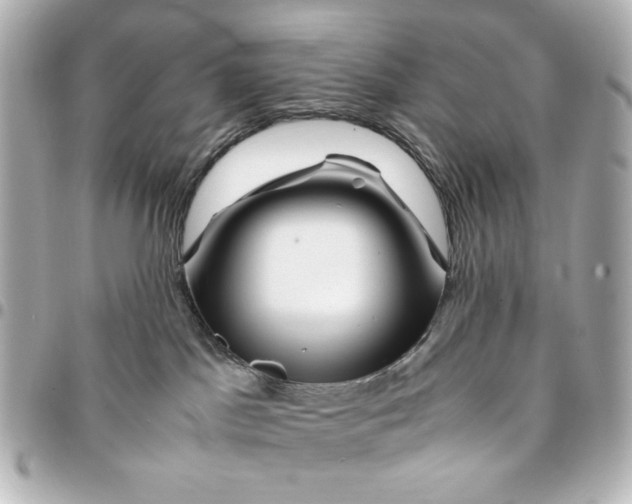 X0000094930045200712201102