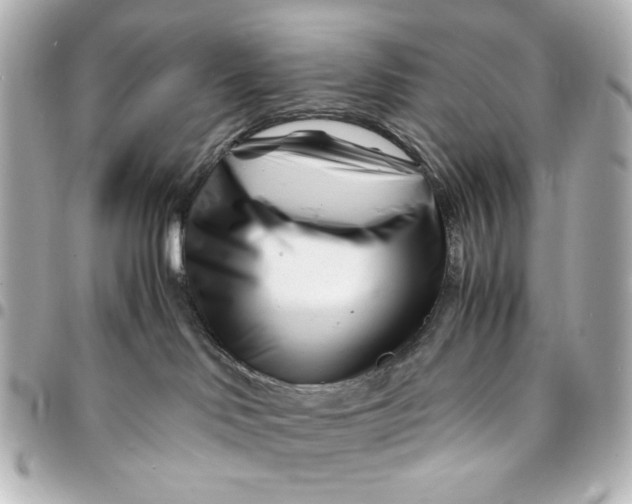 X0000094930046200712201102