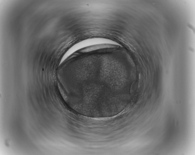 X0000094930048200712201102