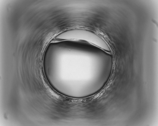 X0000094930049200712201101