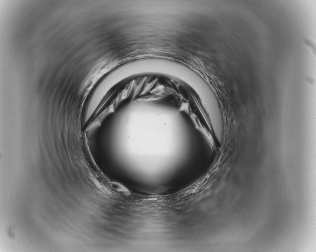 X0000094930050200712201101