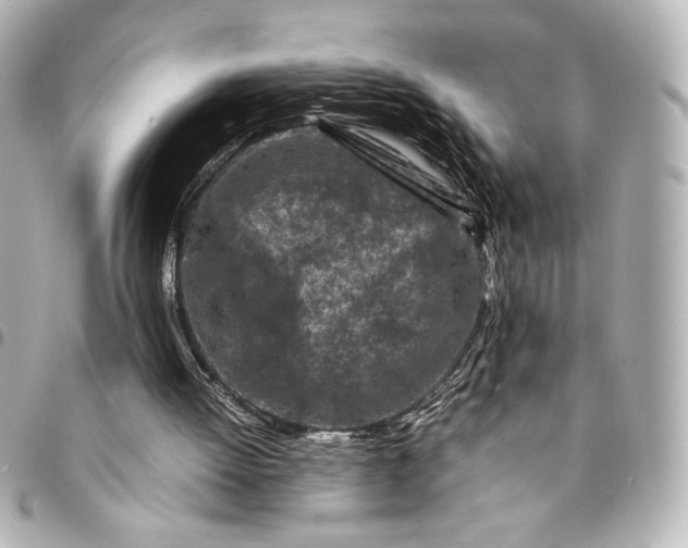 X0000094930052200712201101