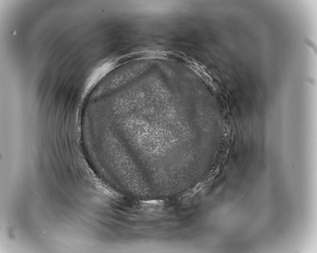 X0000094930053200712201101