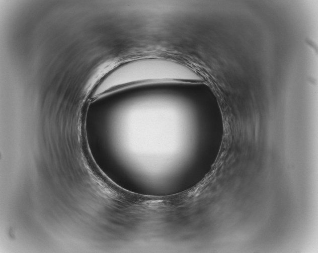 X0000094930054200712201101