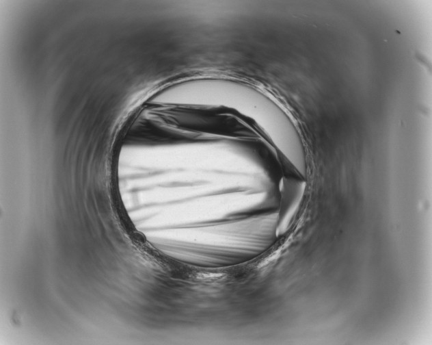 X0000094930055200712201101