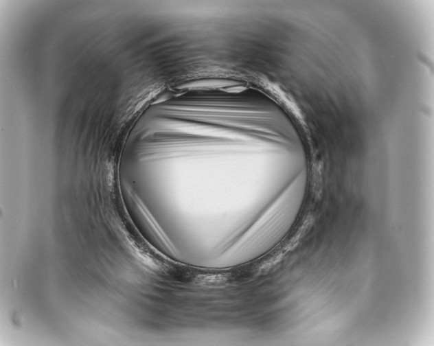 X0000094930057200712201102