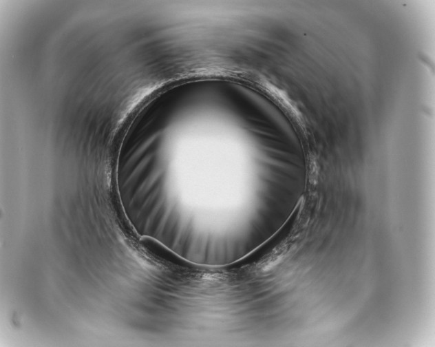 X0000094930060200712201102