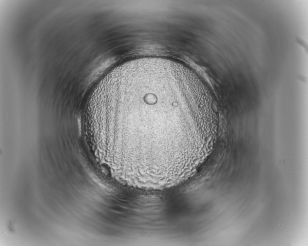 X0000094930061200712201102