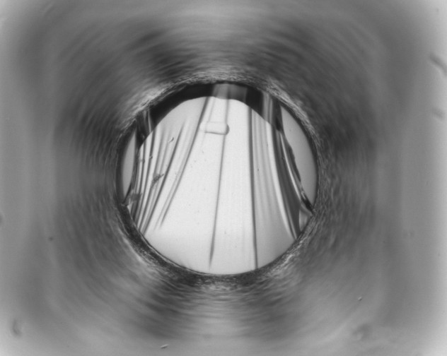 X0000094930062200712201102