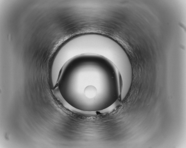 X0000094930064200712201102