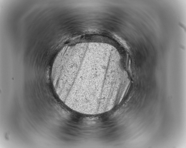 X0000094930065200712201102