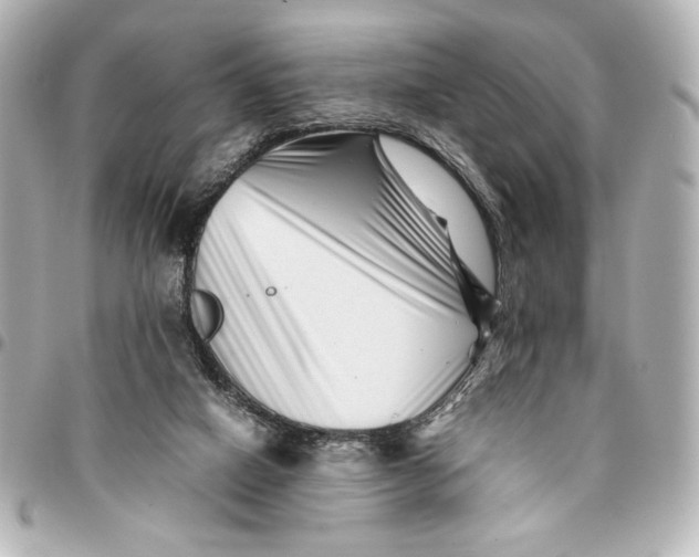 X0000094930066200712201102
