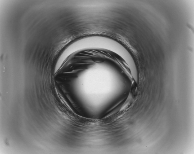 X0000094930068200712201102