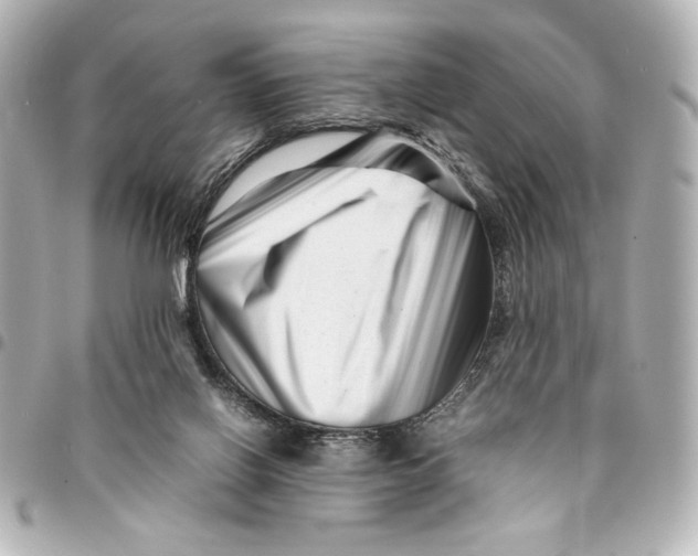 X0000094930070200712201102