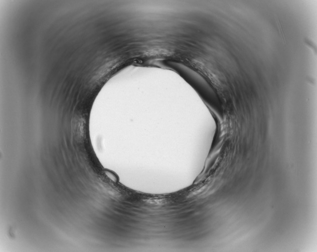 X0000094930071200712201102